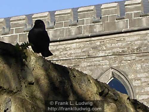 Keeping Watch